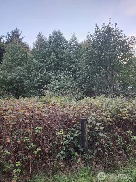 4828 Schwarzmiller Rd, Lake Stevens, WA 98258