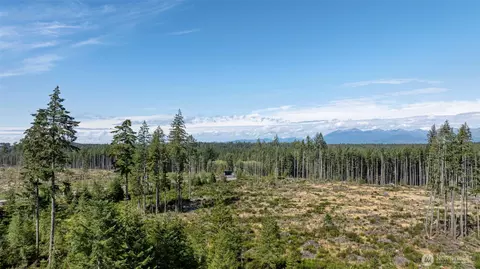 111 NE Ridgetop Ct, Belfair, WA 98528