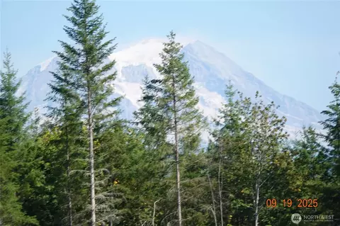 10119 Eatonville Hwy E, Eatonville, WA 98328