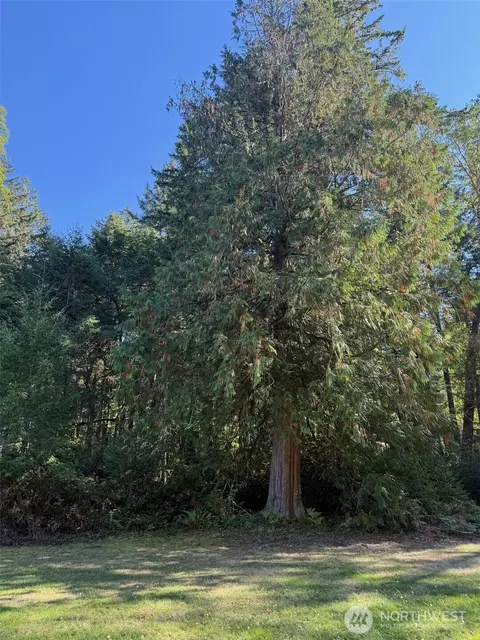 17509 29th Street Ct SW, Lakebay, WA 98349