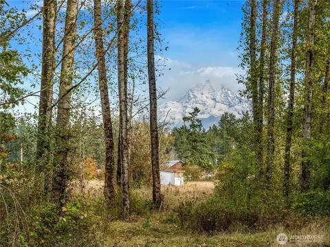 26202 110th Ave E, Graham, WA 98338