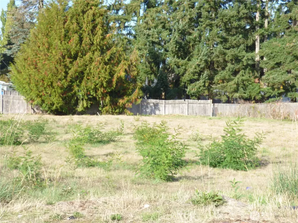  233 170th St E, Spanaway, WA 98387 photo 2