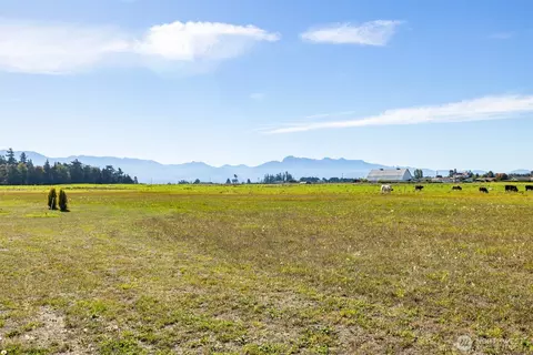 982 E Anderson Rd, Sequim, WA 98382 photo 8
