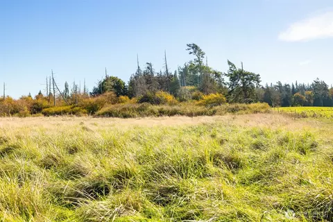 982 E Anderson Rd, Sequim, WA 98382 photo 13