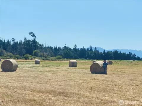 982 E Anderson Rd, Sequim, WA 98382 photo 24