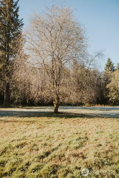 170 Sportsman Club Rd, Forks, WA 98331