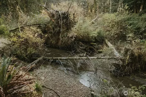 170 Sportsman Club Rd, Forks, WA 98331