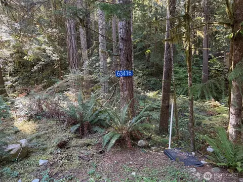 63416 E Ross Pl, Marblemount, WA 98267