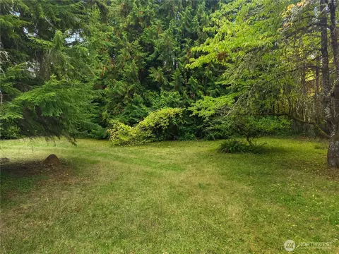 955 Tipsoo Loop N, Rainier, WA 98576 photo 9