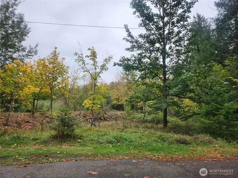 0 Lot 12 Slalom Way, Packwood, WA 98361