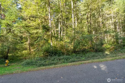 10602 Vantage Dr, Anderson Island, WA 98303