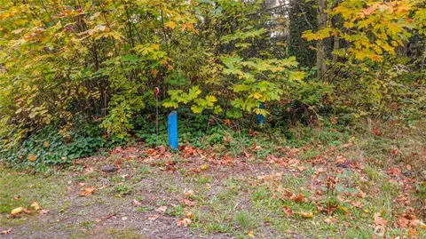 21013 66th Ave E, Spanaway, WA 98387 photo 11
