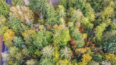 21013 66th Ave E, Spanaway, WA 98387 photo 6
