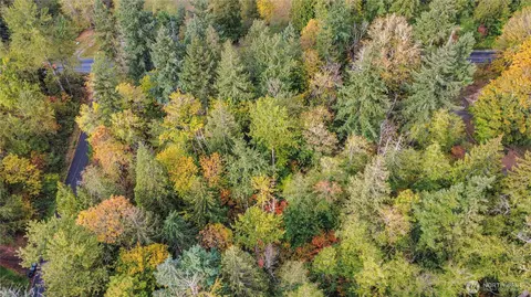 21013 66th Ave E, Spanaway, WA 98387 photo 9