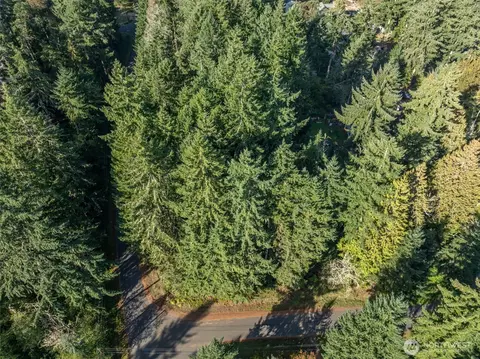 10102 104th Ave, Anderson Island, WA 98303