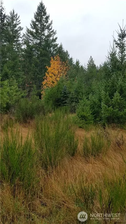1140 W 1180 W California Rd, Shelton, WA 98584