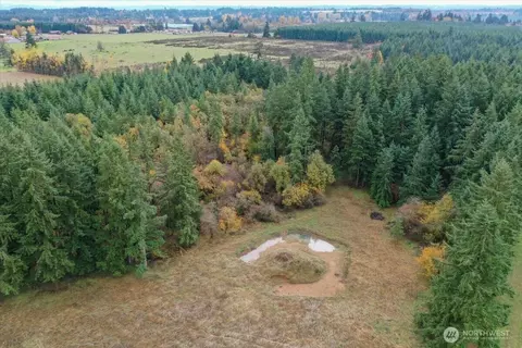 View/Area - 283 Sargent Rd, Winlock, WA 98596 photo 3 of 3