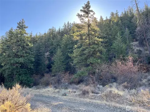 31 Tyee View Loop, Orondo, WA 98843