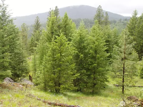 0 Nnn Turner Lake Rd N, Tonasket, WA 98855