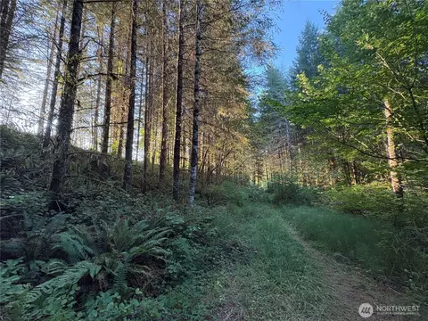 0 Nka Frank Smith Rd, Toutle, WA 98649