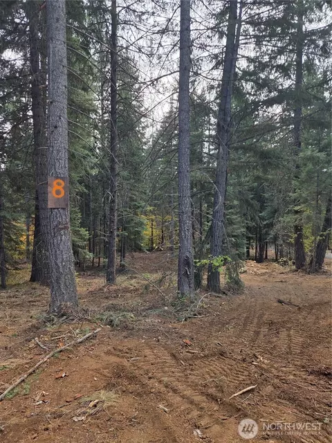 8 Double O Rd, Ronald, WA 98940