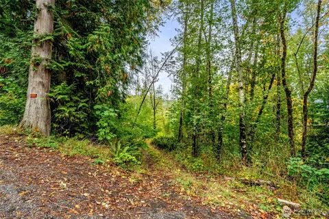 0 Mineral Hill Rd, Mineral, WA 98356