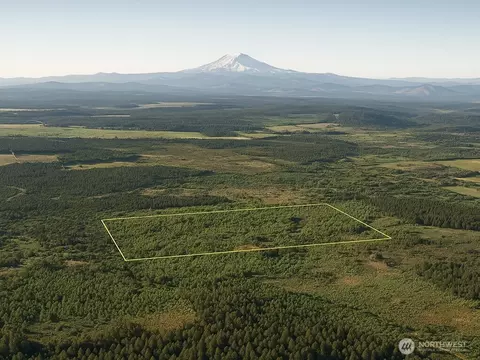 981 W Homer Adams Rd, Elma, WA 98541