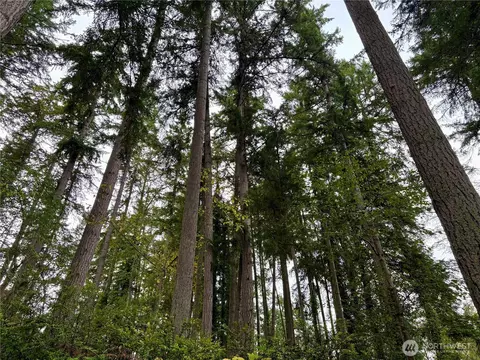 0 Hyak Pl, Fox Island, WA 98333