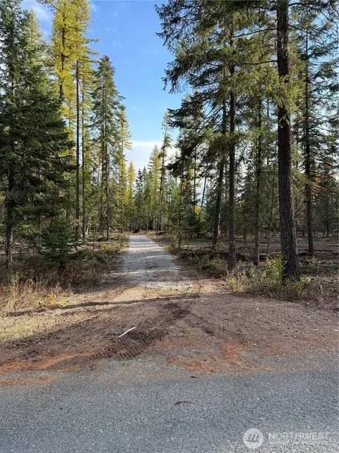 51 Aurthurs Blvd, Cusick, WA 99119 photo 5
