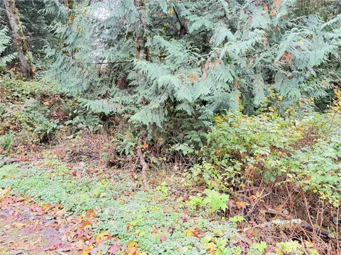 1 W Alder Dr, Sedro Woolley, WA 98284