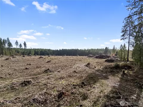 Other - 565 Meier Rd, Winlock, WA 98596 photo 2 of 7