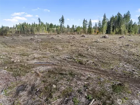 Other - 565 Meier Rd, Winlock, WA 98596 photo 3 of 7