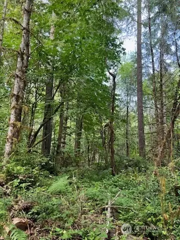 0 Lot C Orchard Ave SE, Olalla, WA 98359