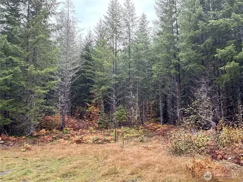4 Nn Forest Road 52, Packwood, WA 99338