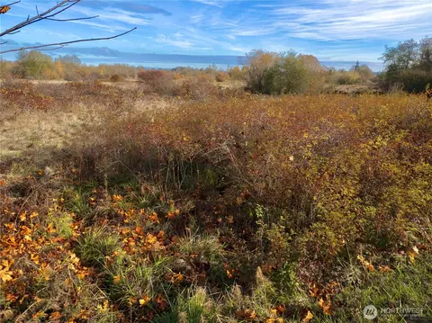 3600 S Sequim Dungeness Way, Sequim, WA 98382 photo 22