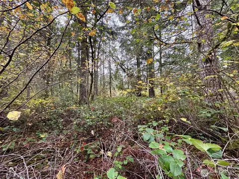 10824 Madrona Dr, Anderson Island, WA 98303