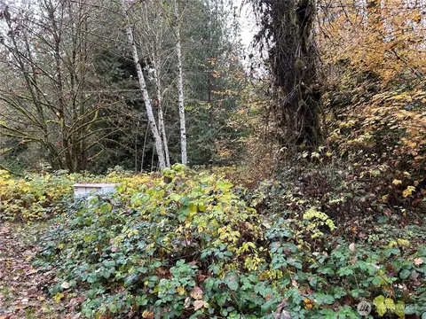54165 Steelhead Landing Rd, Concrete, WA 98237