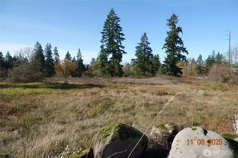 8416 State Route 702 S, Roy, WA 98580