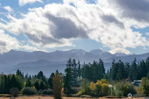 Other - 62 Hogback Rd, Sequim, WA 98382 photo 9 of 10