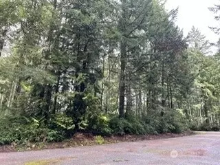 11307 114th Street Ct, Anderson Island, WA 98303