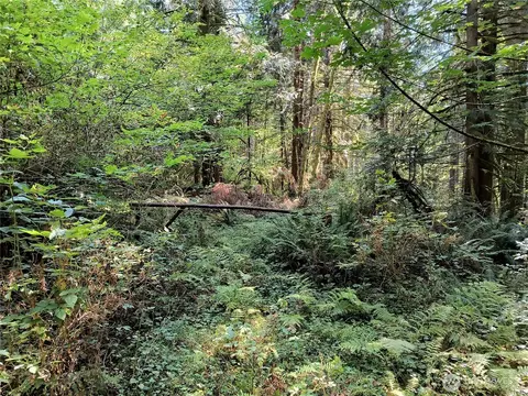 300000 Draggart, Monroe, WA 98272