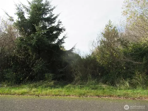 8 Driftwood Dr, Ocean City, WA 98569