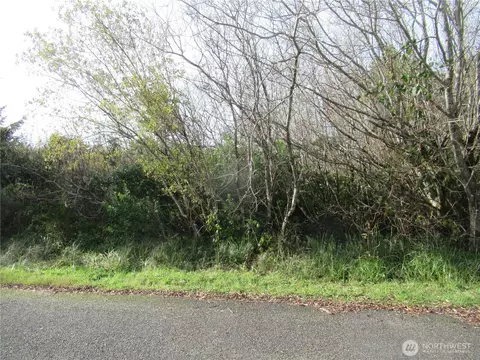 12 Driftwood Dr, Ocean Shores, WA 98569
