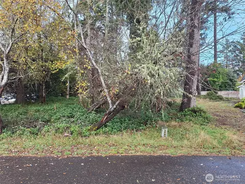 510 Chickamin Ct SE, Ocean Shores, WA 98569