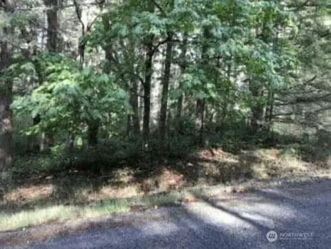 10602 Madrona Dr, Anderson Island, WA 98303
