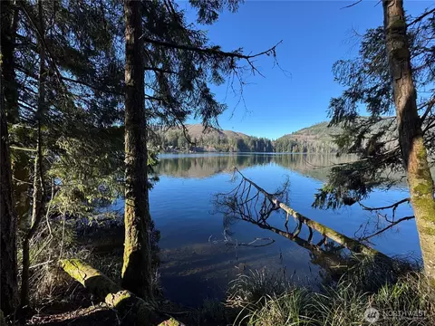 0 Mineral Creek Rd N, Mineral, WA 98355