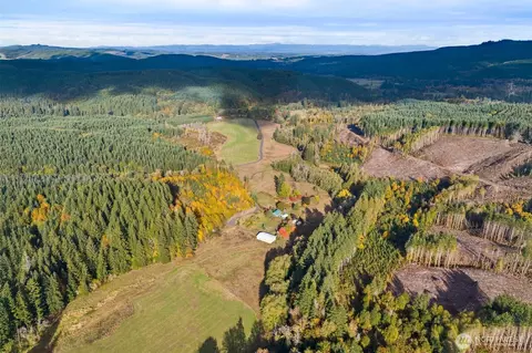 807 Allender Rd, Ryderwood, WA 98581