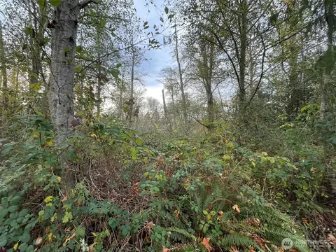 10312 SW 156th St, Vashon, WA 98070