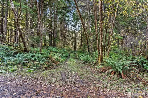 0 Lot 35 Bay Ln, South Bend, WA 98596