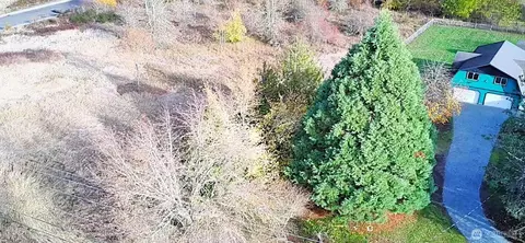 View/Area - 19503 22nd Ave E, Spanaway, WA 98387 photo 3 of 3